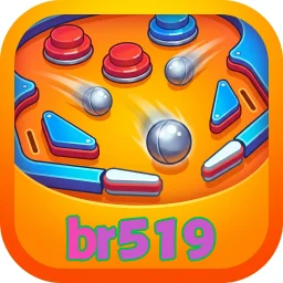 br519